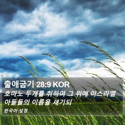 출애굽기 28:9 KOR Bible Verse Image