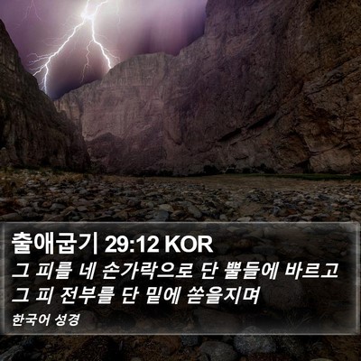출애굽기 29:12 KOR Bible Verse Image