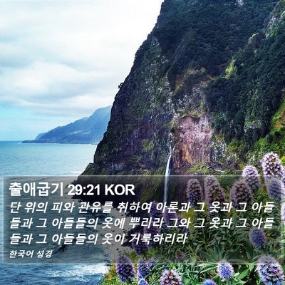 출애굽기 29:21 KOR Bible Verse Image