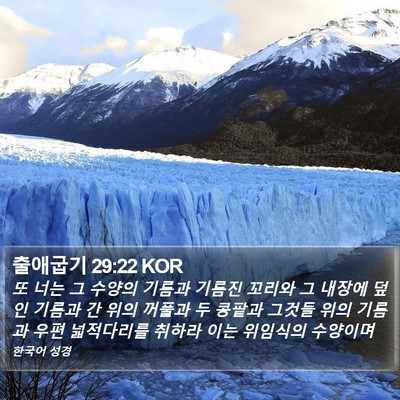 출애굽기 29:22 KOR Bible Verse Image