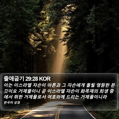 출애굽기 29:28 KOR Bible Verse Image