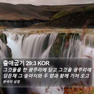 출애굽기 29:3 KOR Bible Verse Image