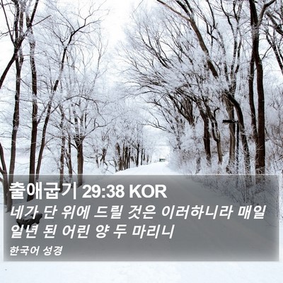 출애굽기 29:38 KOR Bible Verse Image