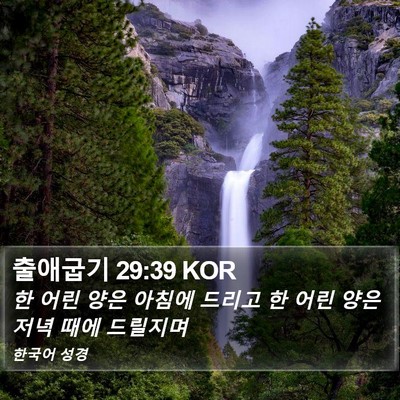 출애굽기 29:39 KOR Bible Verse Image