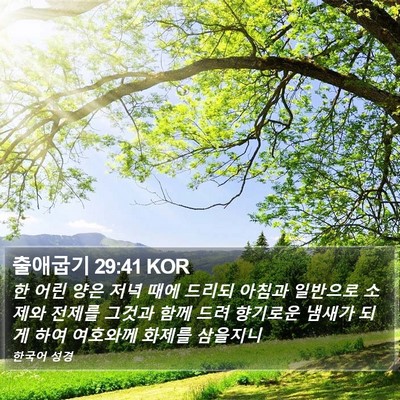 출애굽기 29:41 KOR Bible Verse Image