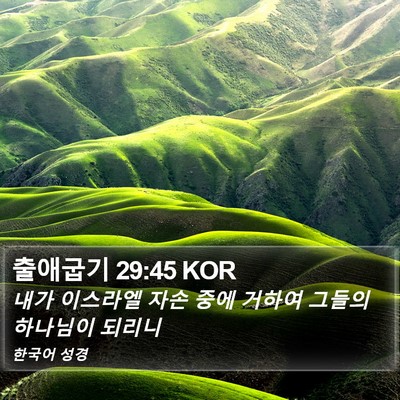 출애굽기 29:45 KOR Bible Verse Image