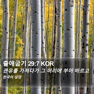 출애굽기 29:7 KOR Bible Verse Image