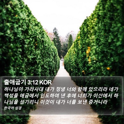 출애굽기 3:12 KOR Bible Verse Image