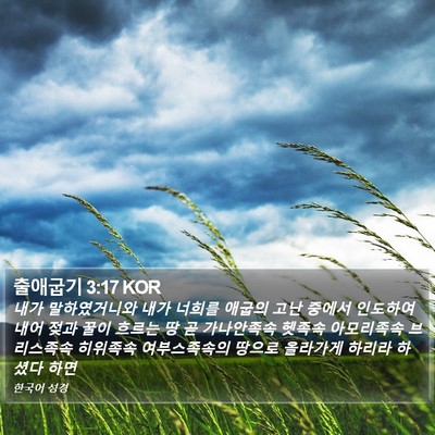 출애굽기 3:17 KOR Bible Verse Image