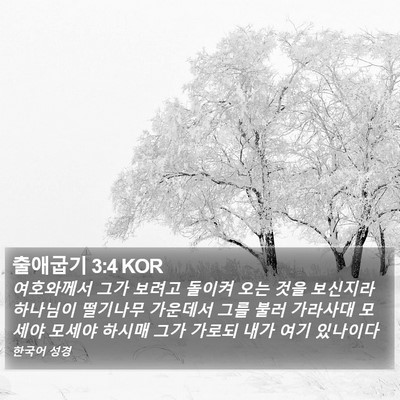 출애굽기 3:4 KOR Bible Verse Image