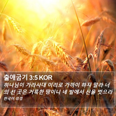 출애굽기 3:5 KOR Bible Verse Image