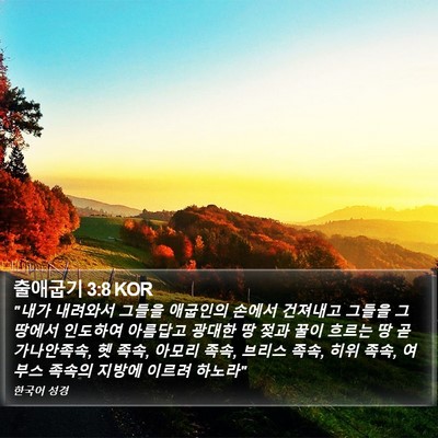 출애굽기 3:8 KOR Bible Verse Image
