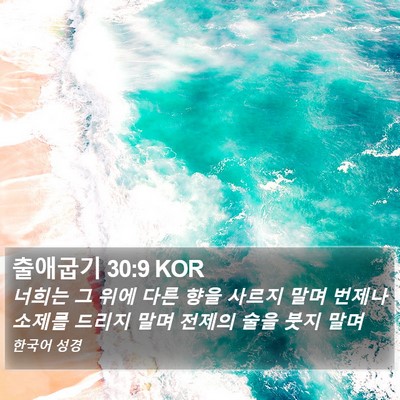 출애굽기 30:9 KOR Bible Verse Image