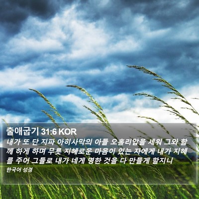 출애굽기 31:6 KOR Bible Verse Image