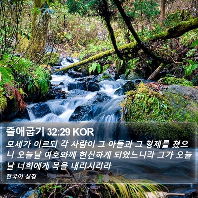 출애굽기 32:29 KOR Bible Verse Image