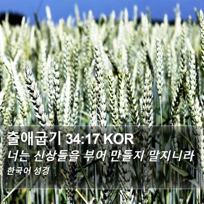 출애굽기 34:17 KOR Bible Verse Image