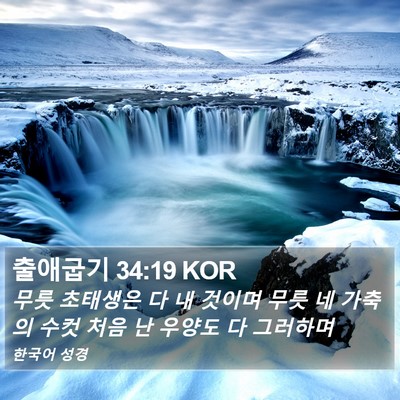 출애굽기 34:19 KOR Bible Verse Image