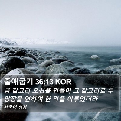 출애굽기 36:13 KOR Bible Verse Image