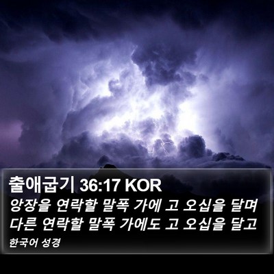 출애굽기 36:17 KOR Bible Verse Image