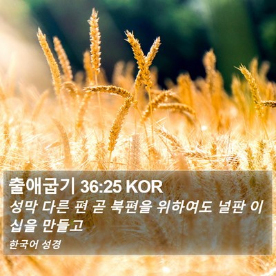 출애굽기 36:25 KOR Bible Verse Image
