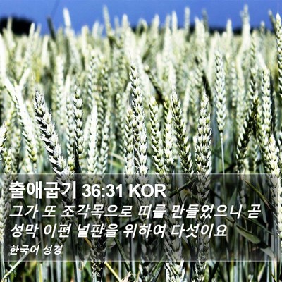출애굽기 36:31 KOR Bible Verse Image