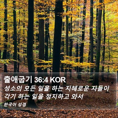 출애굽기 36:4 KOR Bible Verse Image