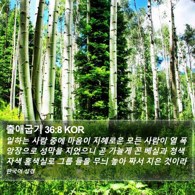 출애굽기 36:8 KOR Bible Verse Image