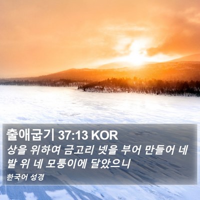 출애굽기 37:13 KOR Bible Verse Image