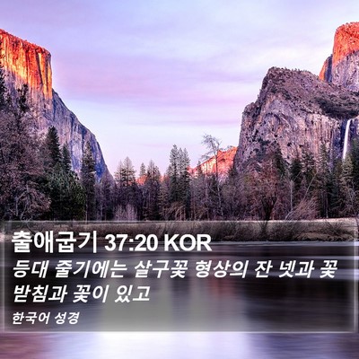 출애굽기 37:20 KOR Bible Verse Image