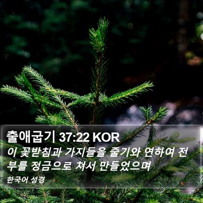 출애굽기 37:22 KOR Bible Verse Image