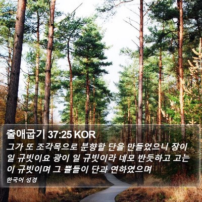 출애굽기 37:25 KOR Bible Verse Image