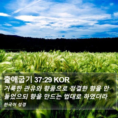 출애굽기 37:29 KOR Bible Verse Image