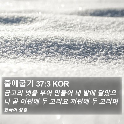 출애굽기 37:3 KOR Bible Verse Image