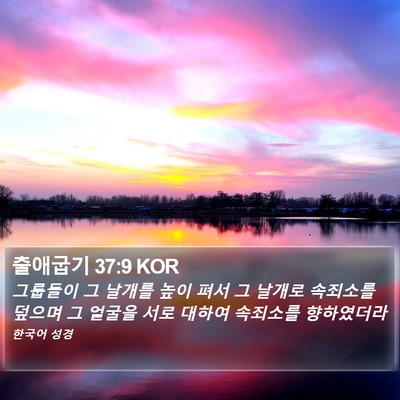 출애굽기 37:9 KOR Bible Verse Image