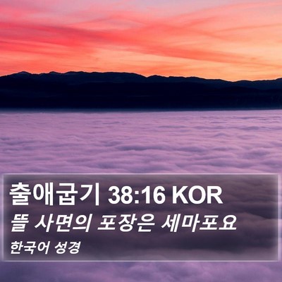 출애굽기 38:16 KOR Bible Verse Image