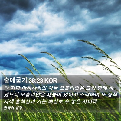 출애굽기 38:23 KOR Bible Verse Image