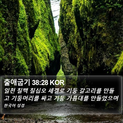출애굽기 38:28 KOR Bible Verse Image