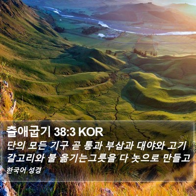 출애굽기 38:3 KOR Bible Verse Image