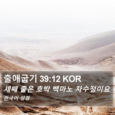 출애굽기 39:12 KOR Bible Verse Image