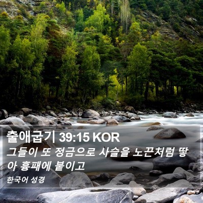 출애굽기 39:15 KOR Bible Verse Image