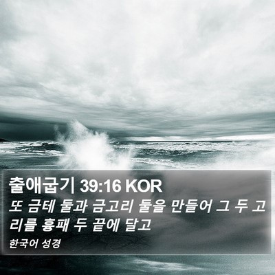출애굽기 39:16 KOR Bible Verse Image