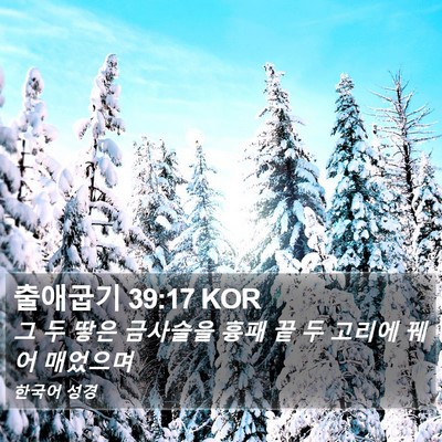 출애굽기 39:17 KOR Bible Verse Image