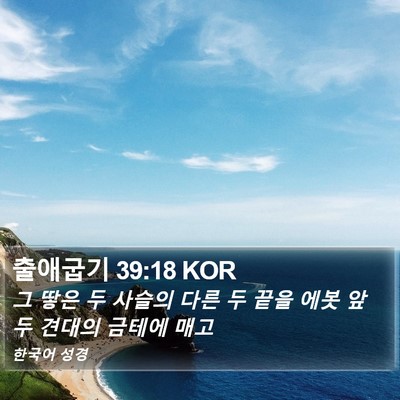 출애굽기 39:18 KOR Bible Verse Image