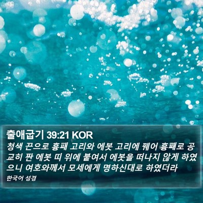 출애굽기 39:21 KOR Bible Verse Image