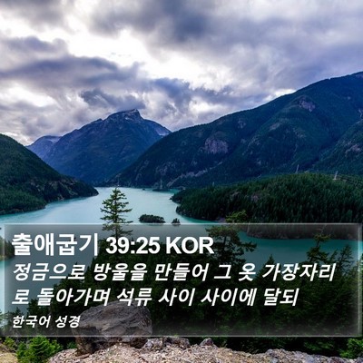 출애굽기 39:25 KOR Bible Verse Image