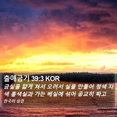 출애굽기 39:3 KOR Bible Verse Image