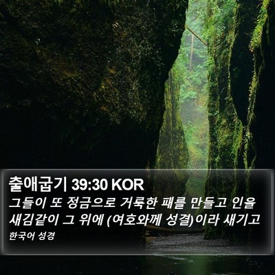 출애굽기 39:30 KOR Bible Verse Image