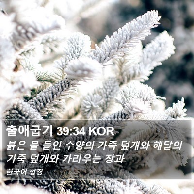 출애굽기 39:34 KOR Bible Verse Image