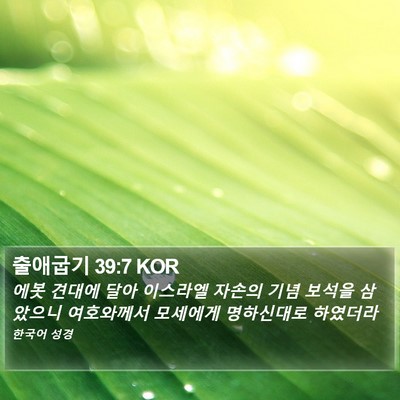 출애굽기 39:7 KOR Bible Verse Image