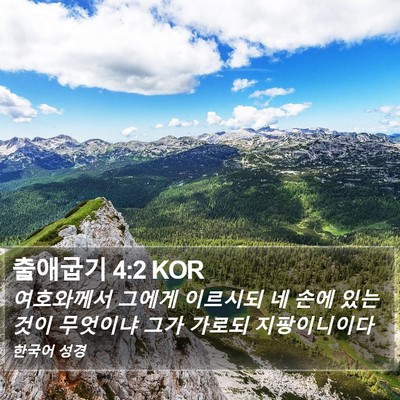 출애굽기 4:2 KOR Bible Verse Image